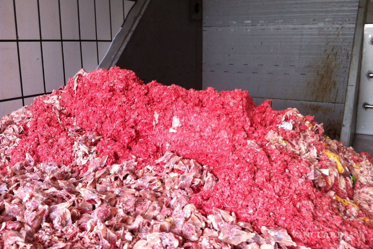 Mexicanos producen electricidad con residuos cárnicos