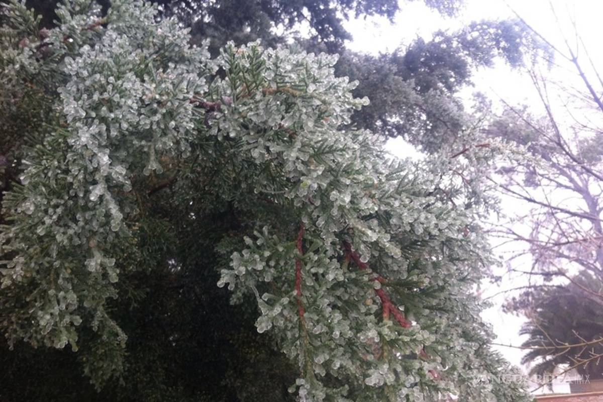 $!Reportan caída de aguanieve en Saltillo