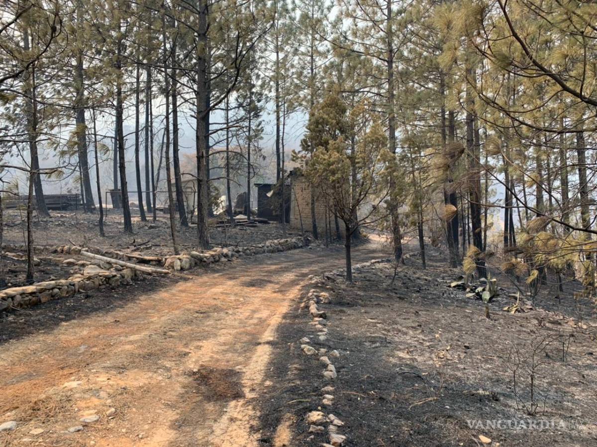 $!Lotes completos carbonizados por incendio en Arteaga; adultos mayores quedan desprotegidos