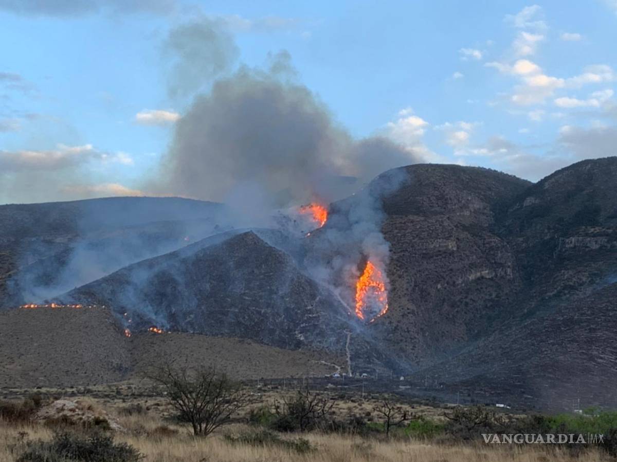 $!Aún sin registro de hectáreas consumidas por incendio en Zapalinamé; combaten 200 personas el fuego