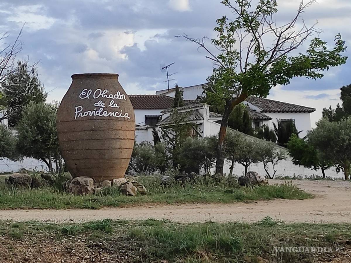 $!Entrada a El Toboso desde la carretera de la vecina localidad de Miguel Esteban. EFE/Amalia González Manjavacas