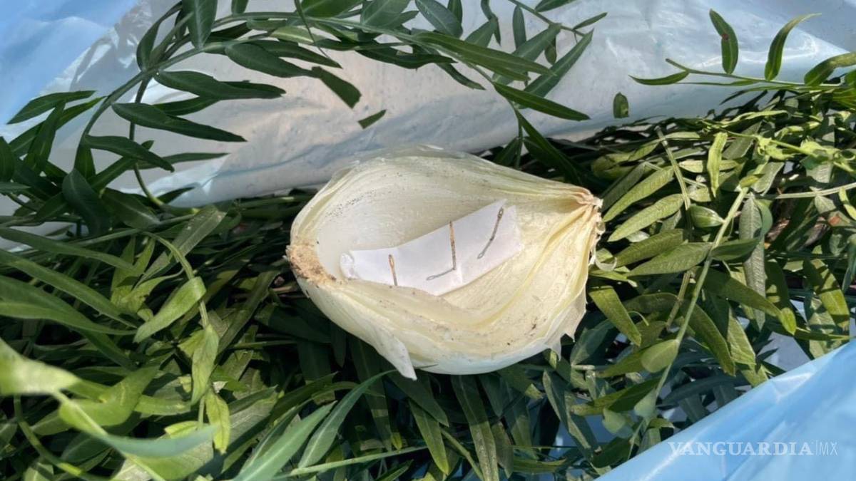 Hallan restos de brujería y hechizos en arroyo Urdiñola de Saltillo