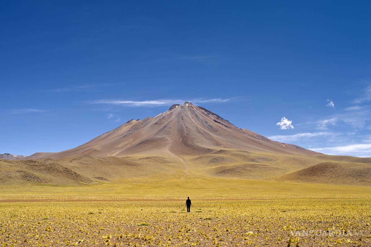 ‘La carrera de artista es una carrera de obstáculos toda tu vida’: Alfredo De Stéfano