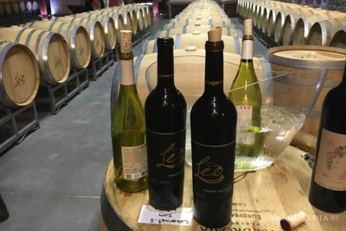 Realizarán en Torreón el primer Festival del Vino Mexicano