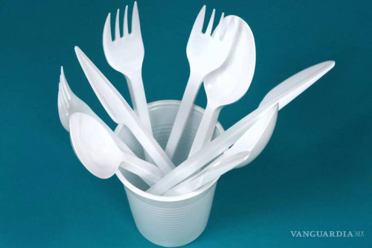 Tribunal falla contra plásticos de un solo uso; Congreso deberá prohibirlos a nivel nacional