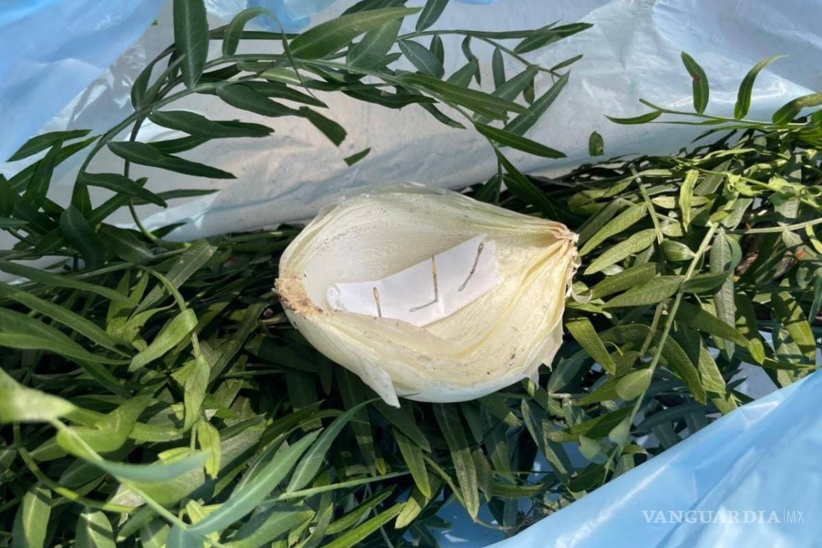 Hallan restos de brujería y hechizos en arroyo Urdiñola de Saltillo