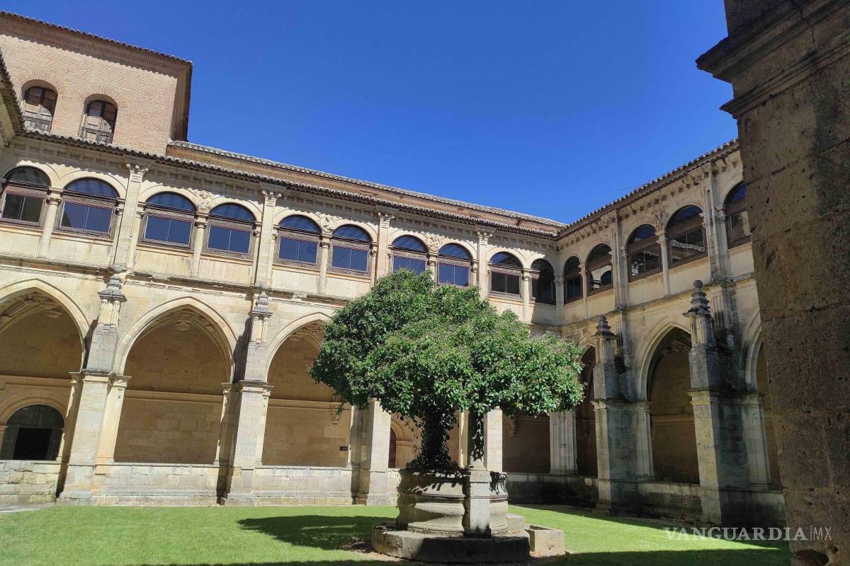 Palencia, el sitio donde el románico echó raíces