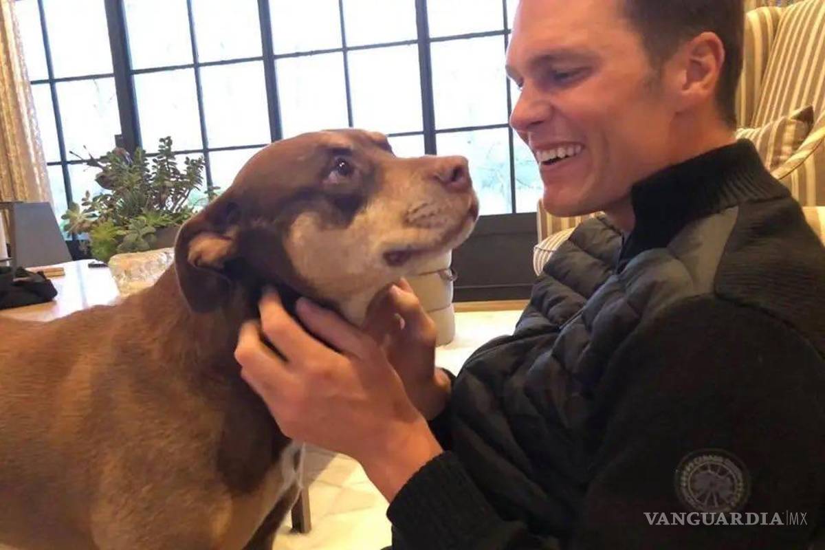‘No quería perderla para siempre’: Tom Brady revela que clonó a su perrita antes de que muriera