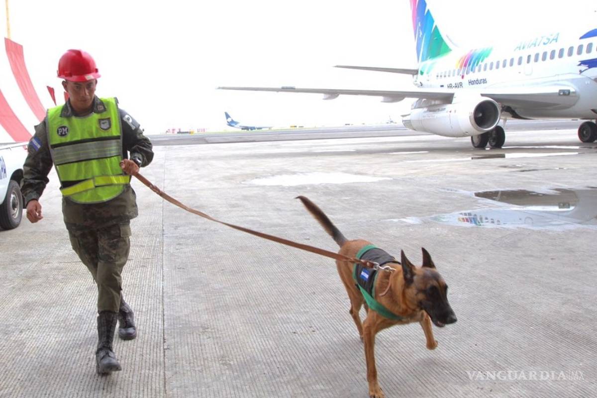 Rescatistas de El Salvador, Honduras y Panamá también regresan a sus países