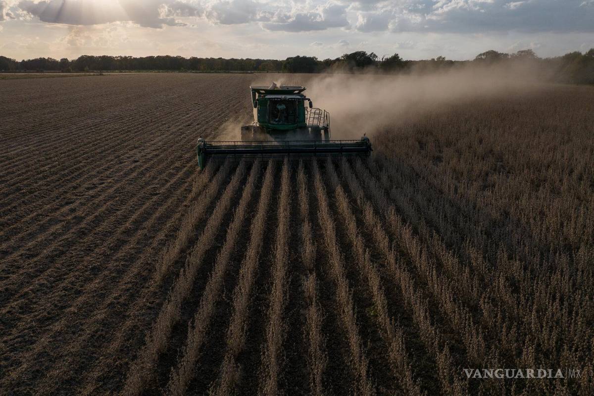 De papas a Tesla: los exportadores buscan dar forma a los aranceles de Trump