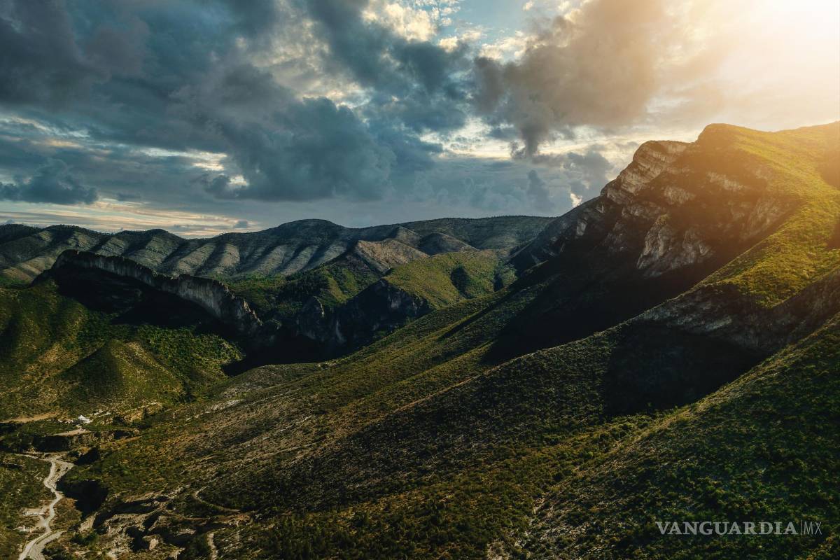 Cañón de San Lorenzo: el pulmón de Saltillo, hogar de osos, aves y ¡agua!