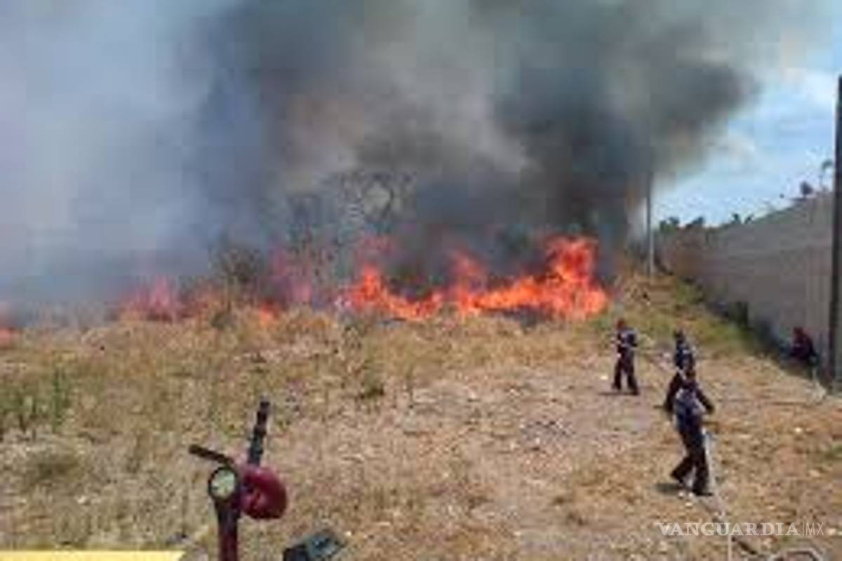 Multarán con un millón 600 mil pesos a quien provocó un incendio en Sabinas