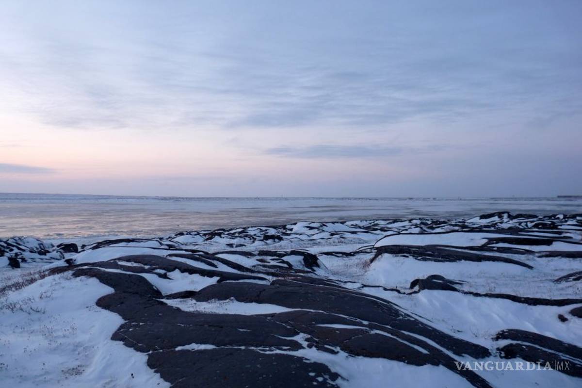 Hay gran concentración de microplásticos en el Ártico