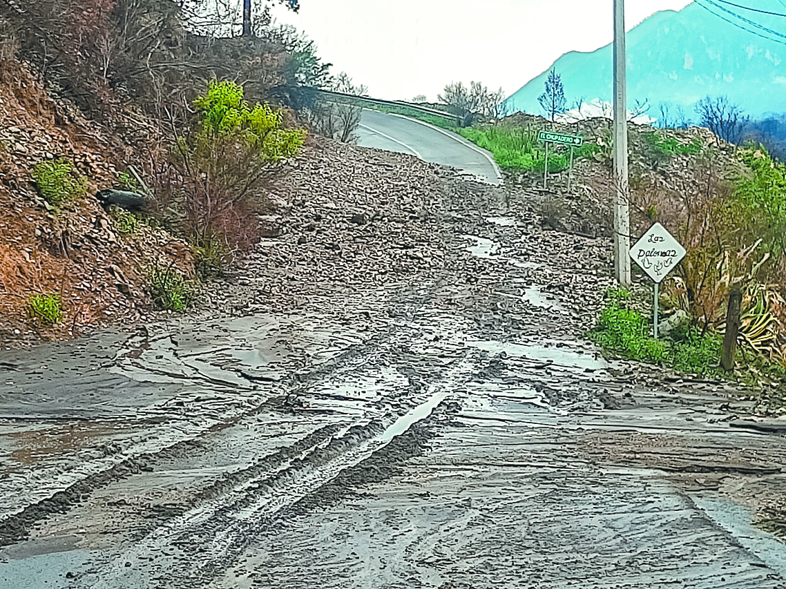 Tras incendio ejidatarios ahora temen a los deslaves en la sierra de Arteaga