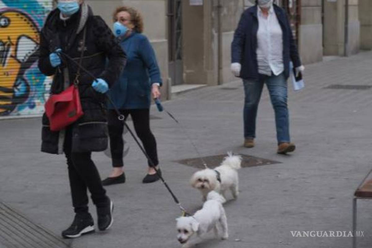 ¿Qué pasa cuando las personas que tienen mascotas enferman de coronavirus?