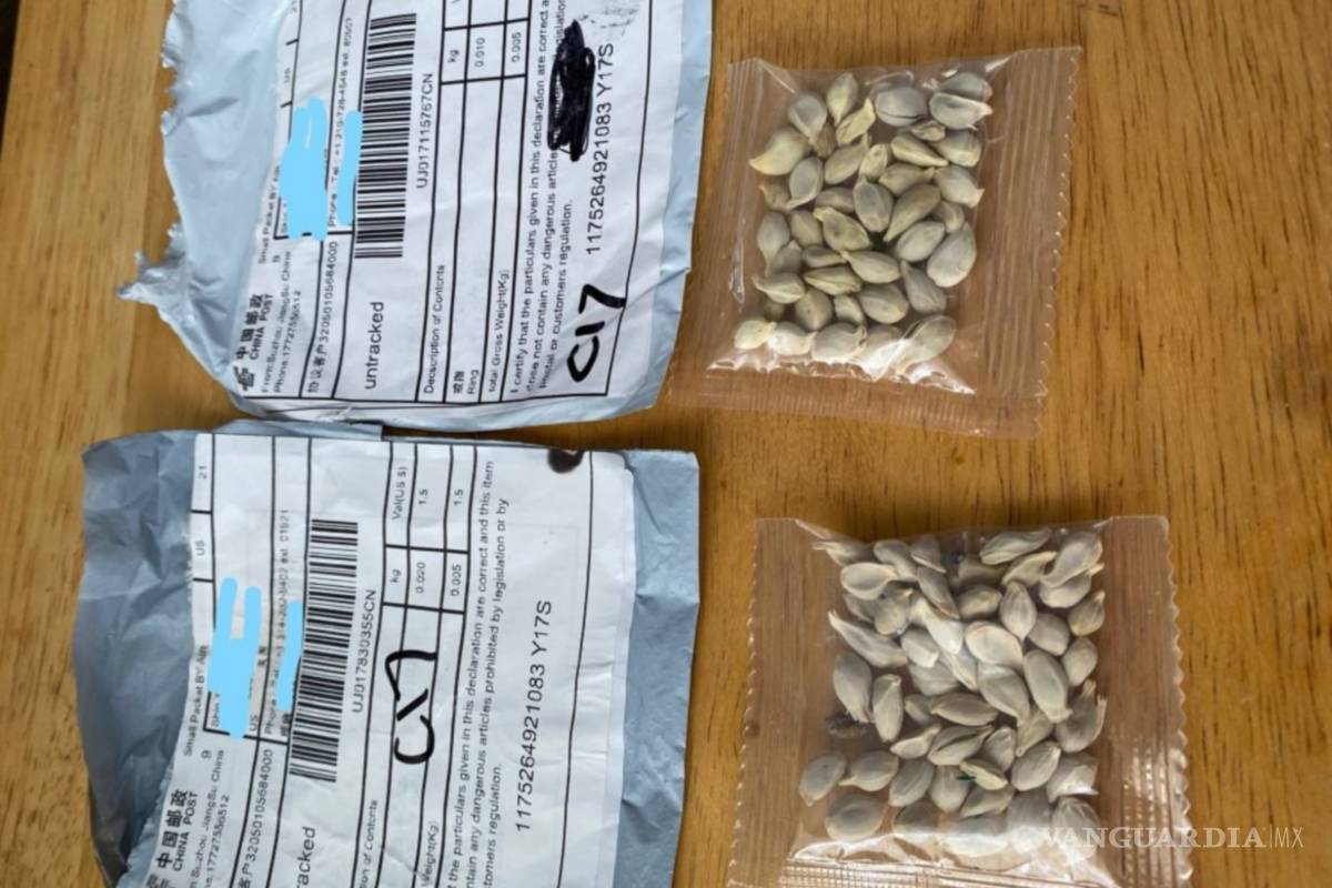 Alerta Brasil por presencia de 'semillas misteriosas' en compras provenientes de Asia