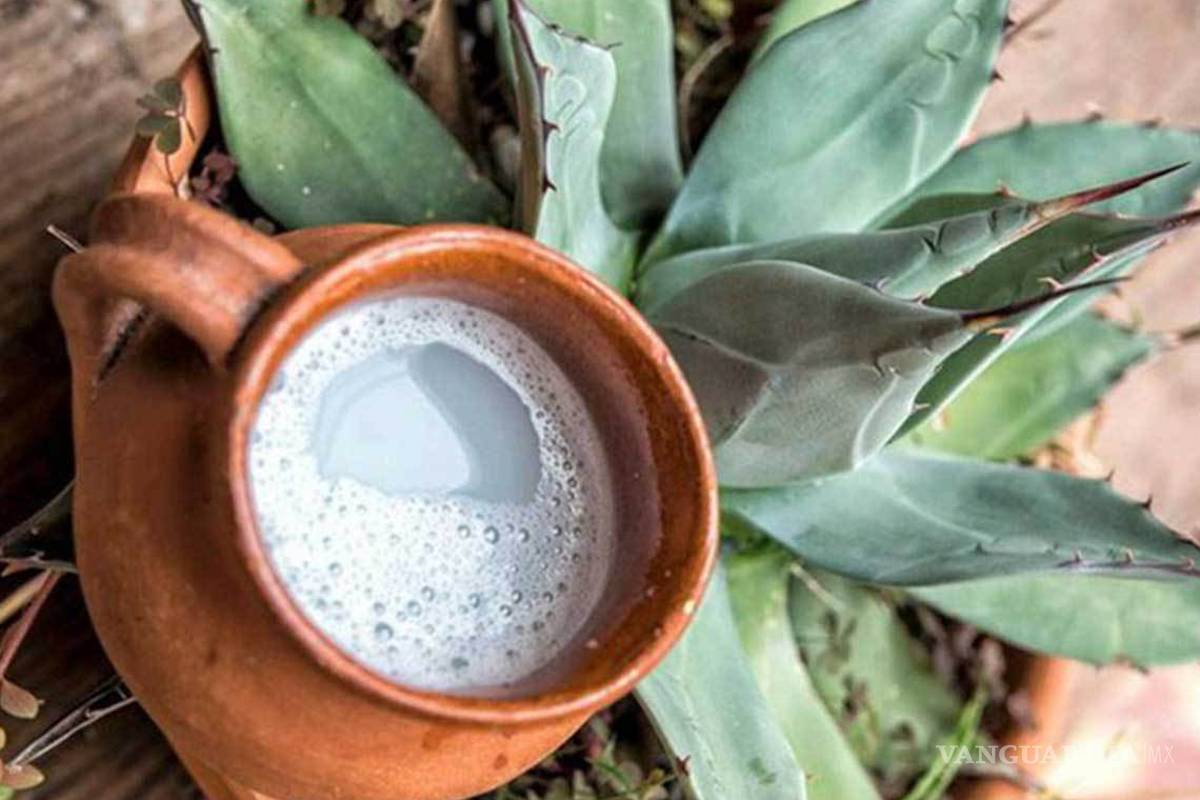 Estos son los beneficios que recibe tu cuerpo al tomar pulque