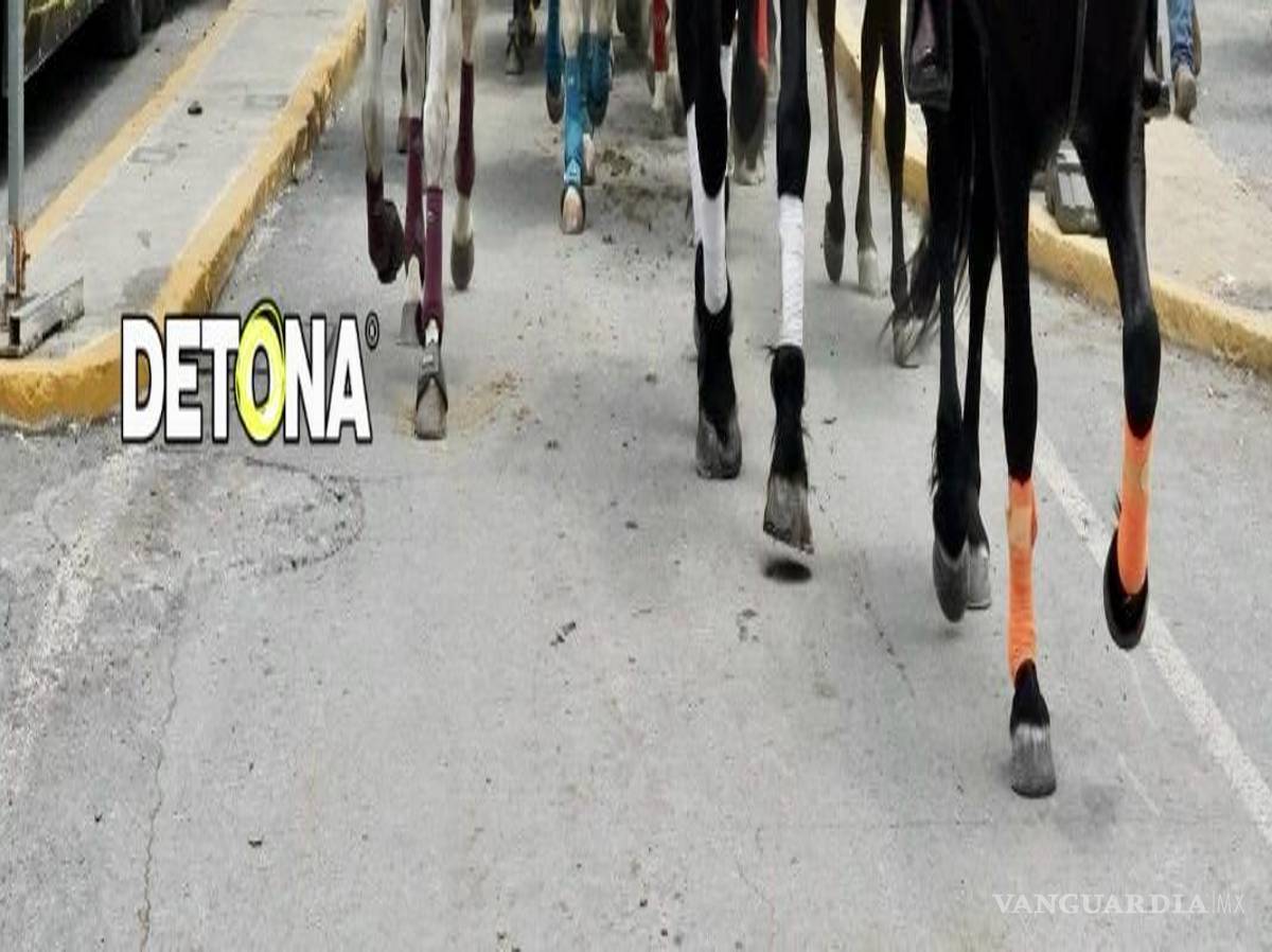 $!Cabalgata exhibe división en el equipo de Samuel.