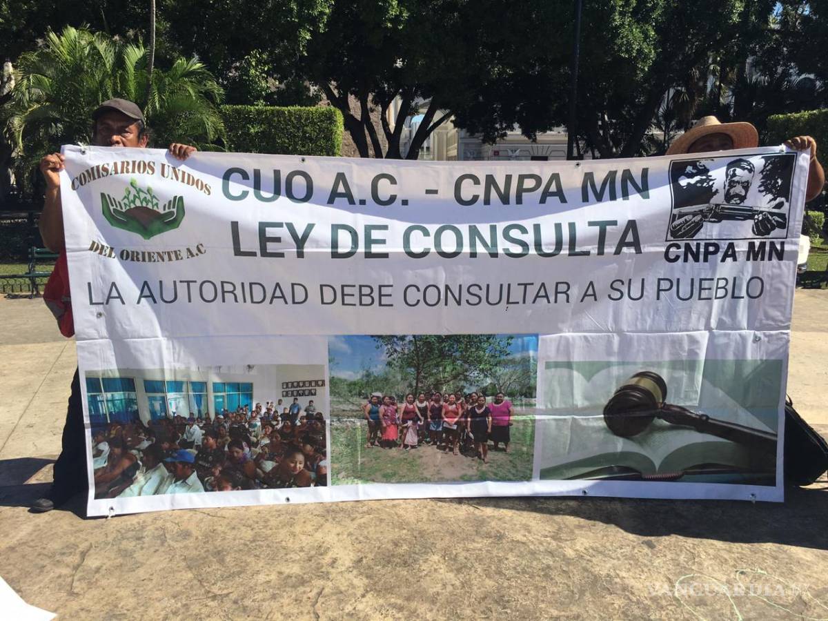 $!Beneficio social del Tren Maya compensa el impacto ambiental, asegura titular de FONATUR