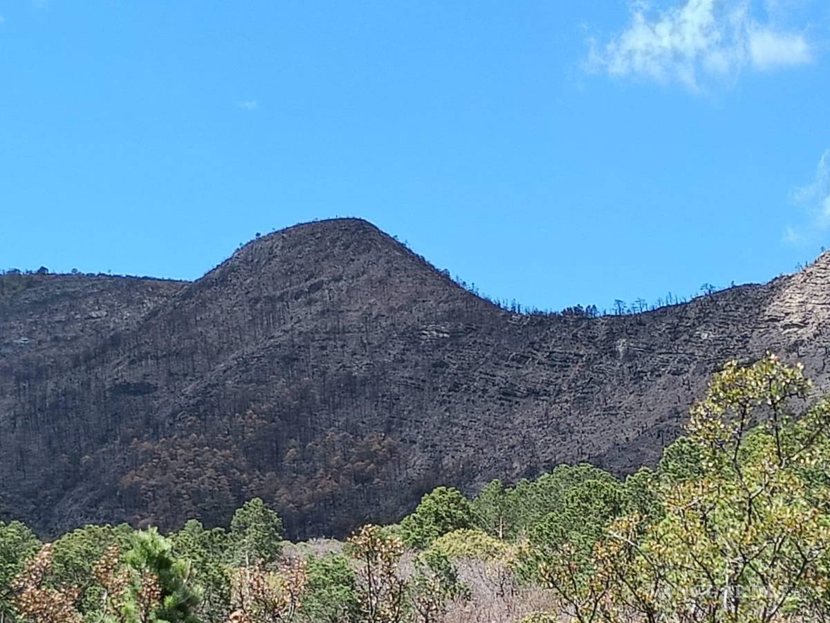$!Los contrastes entre lo cenizo y lo verde se aprecia desde varios puntos.