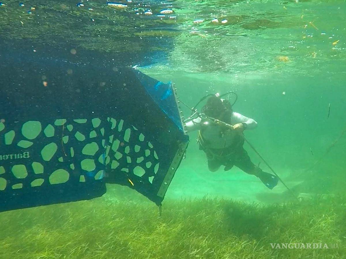 $!Instalan barreras en Quintana Roo para evitar que sargazo llegue a la playa