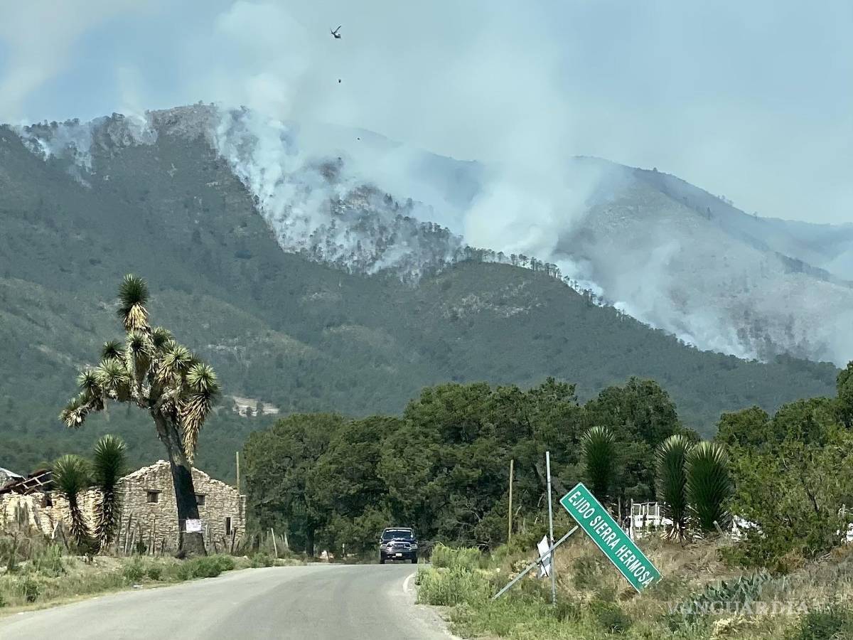 $!“Ejido Sierra Hermosa” con la postal de la vegetación en llamas.
