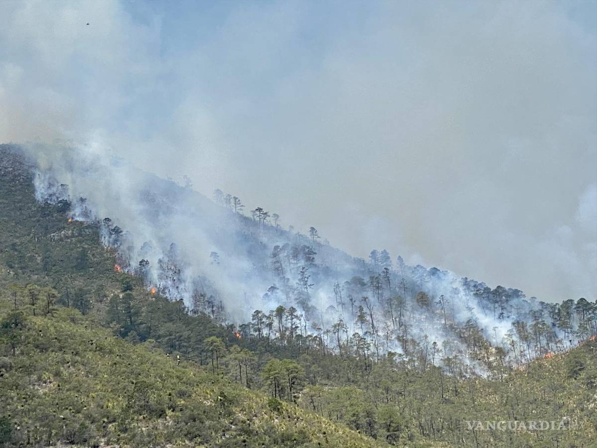 $!Paso del fuego en Sierra Hermosa.