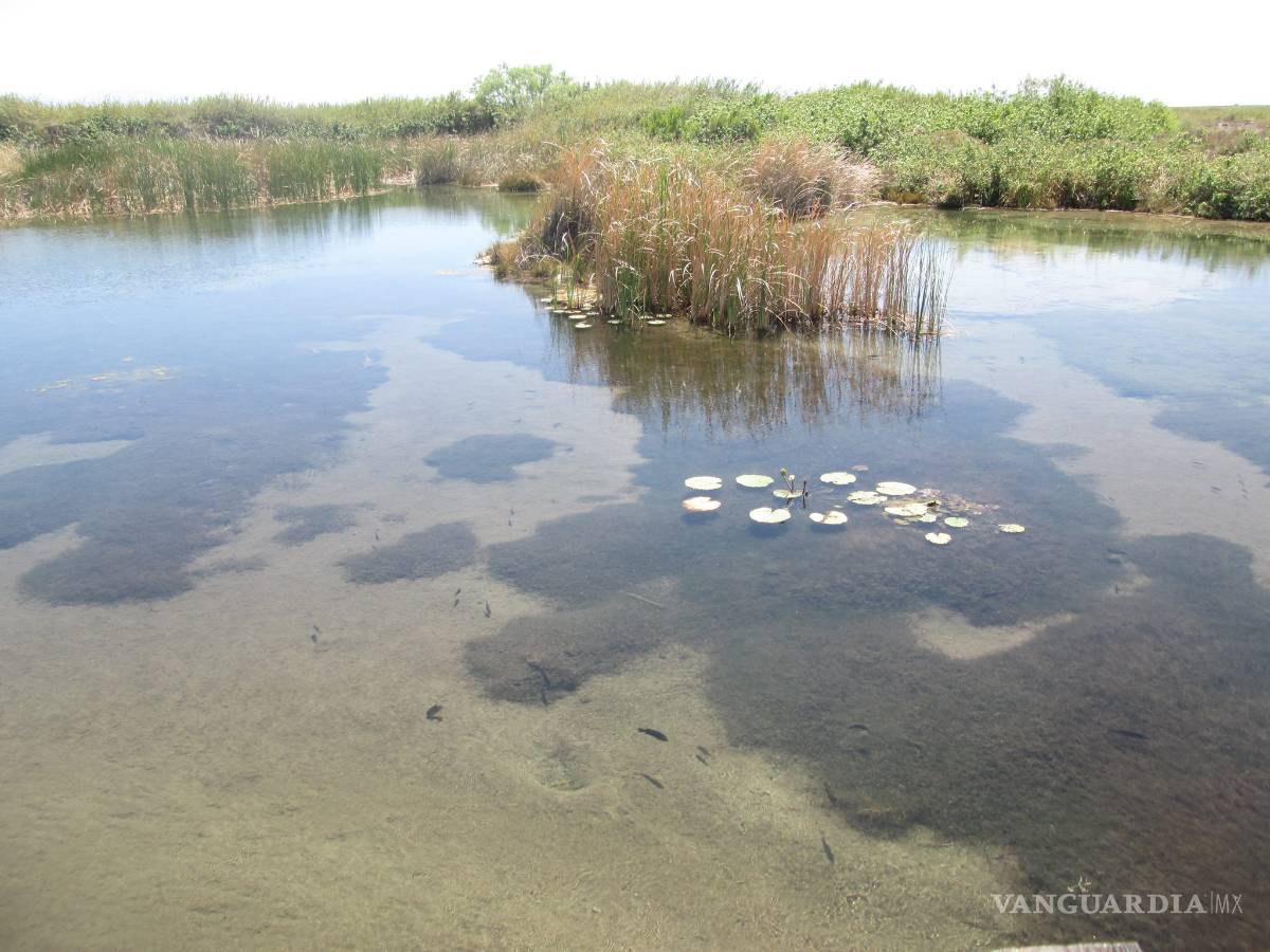 $!Campesinos de Cuatro Ciénegas exigen apoyo a las autoridades