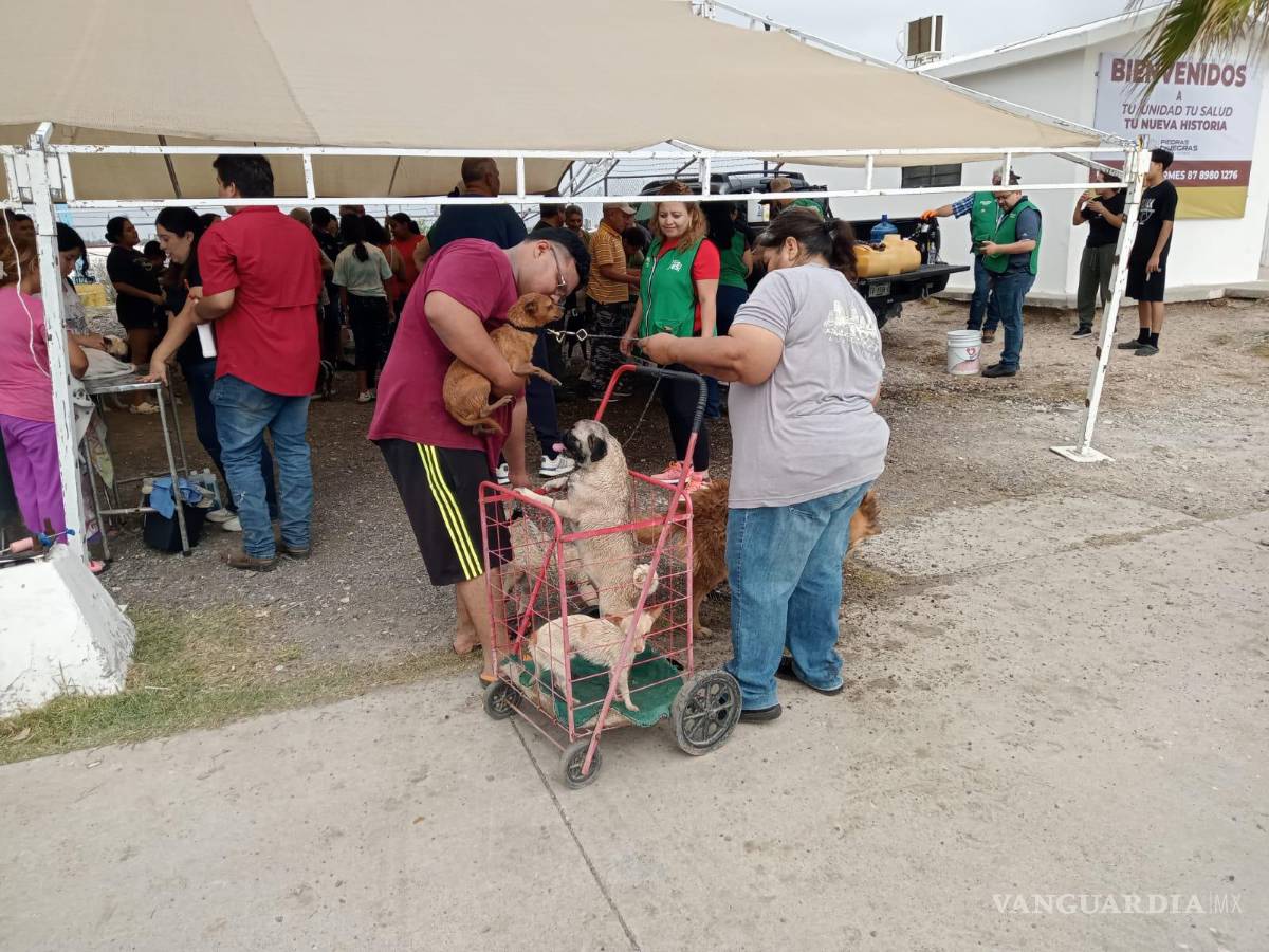 $!Los vecinos de la colonia Los Montes disfrutan de servicios gratuitos para sus mascotas, como vacunación y baños medicados.