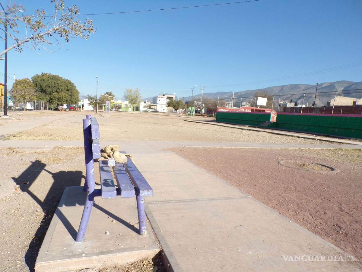 $!En el campo de beisbol de la colonia Amistad, ya no se oyen los batazos ni los gritos de los niños desde que Evelyn fuera asesinada.