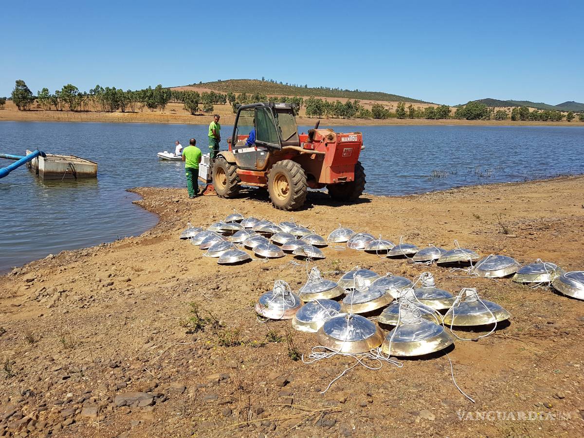 $!Agua más "fina" y de mayor rendimiento gracias a la nanotecnología