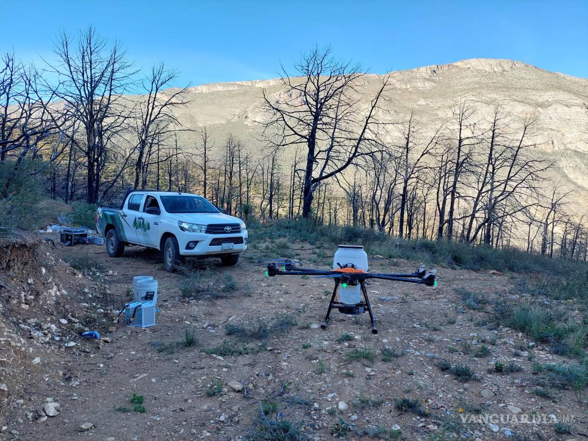 $!Amigos de la Sierra apoyan en este proyecto a largo plazo que pretende regresar la biodiversidad a la Sierra de Arteaga