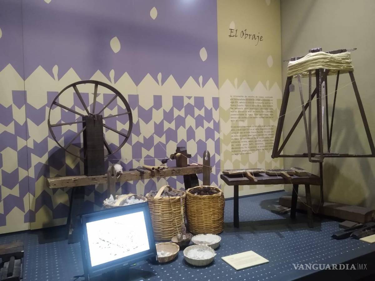 $!Argelia Dávila, profesora investigadora, explicó que la aparición más antigua del sarape fue en el Códice Mendocino.