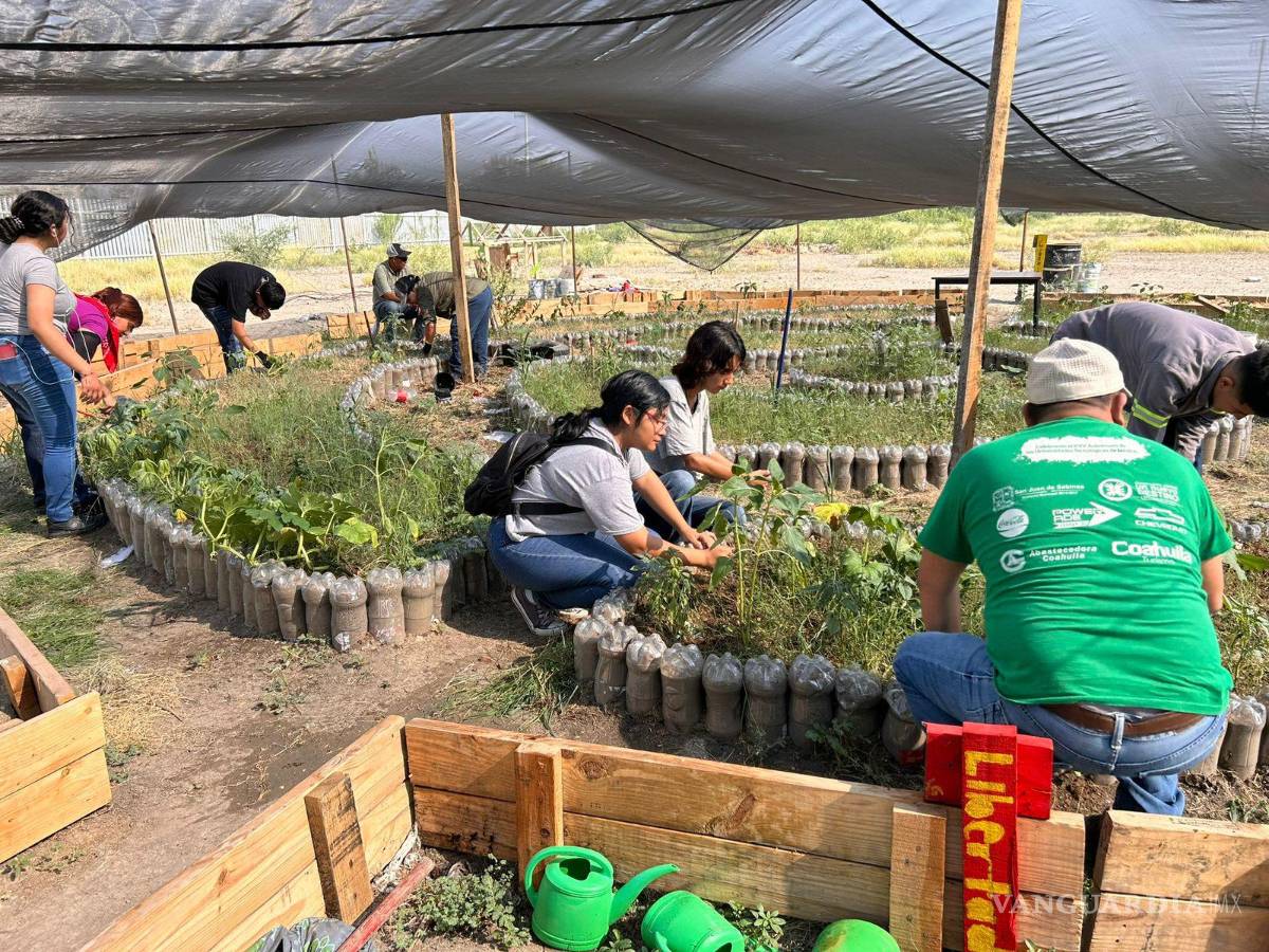 $!Los huertos de la memoria es otra iniciativa para cambiar el sentido de muerte que prevalece en la región Carbonífera.