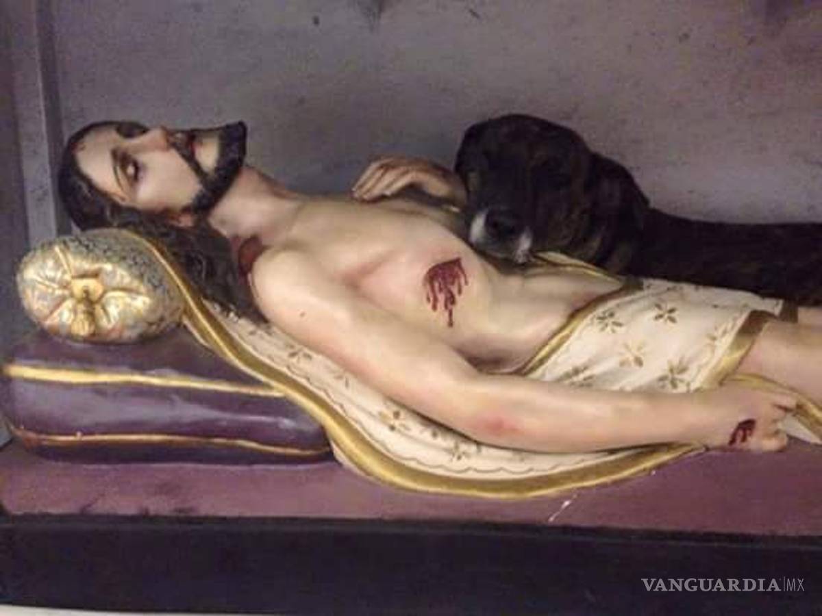 Conmueve al mundo imagen de perrita que duerme en los brazos de Cristo