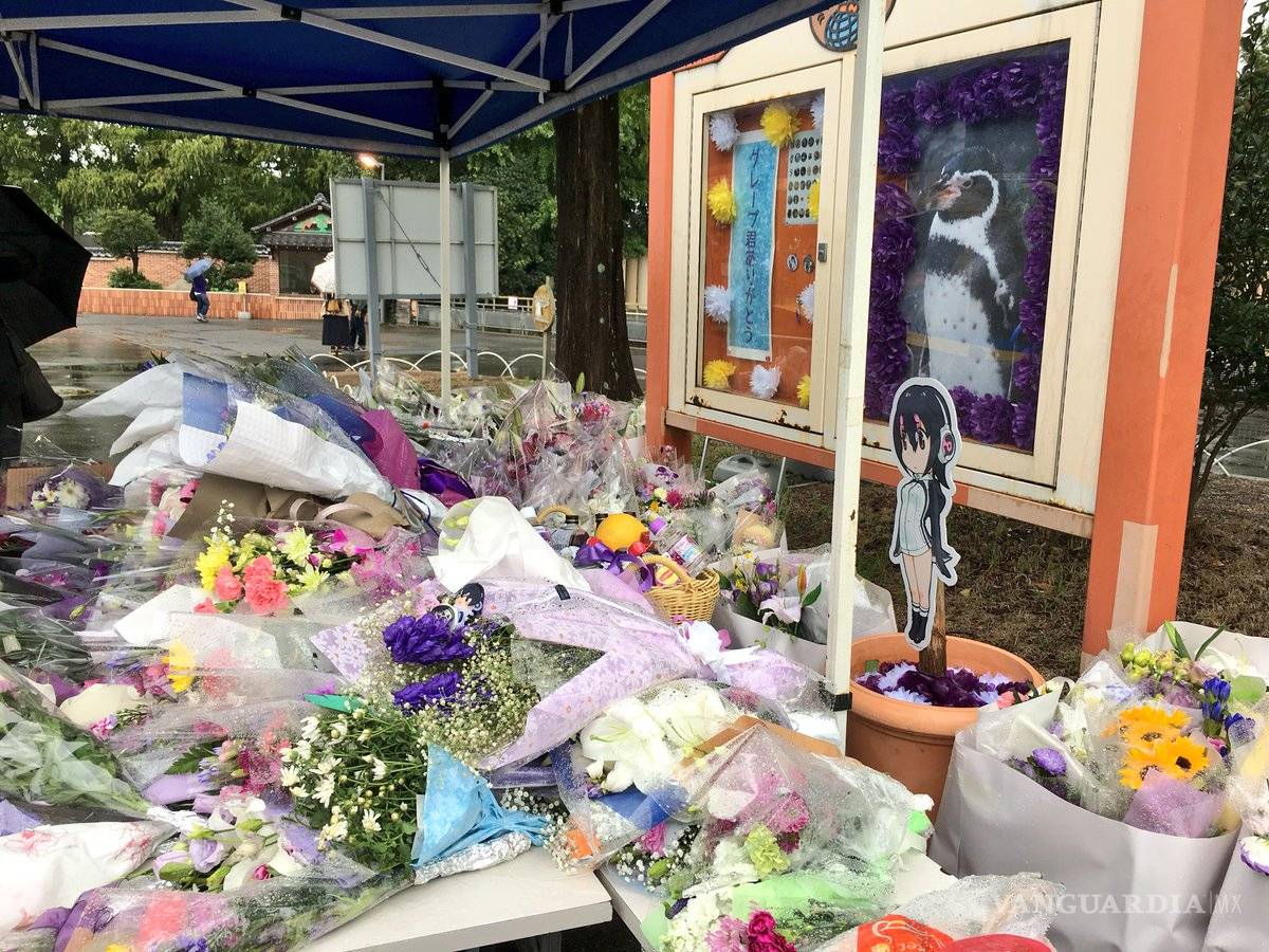 $!Murió Grape-Kun, el pingüino que se enamoró de una chica animé