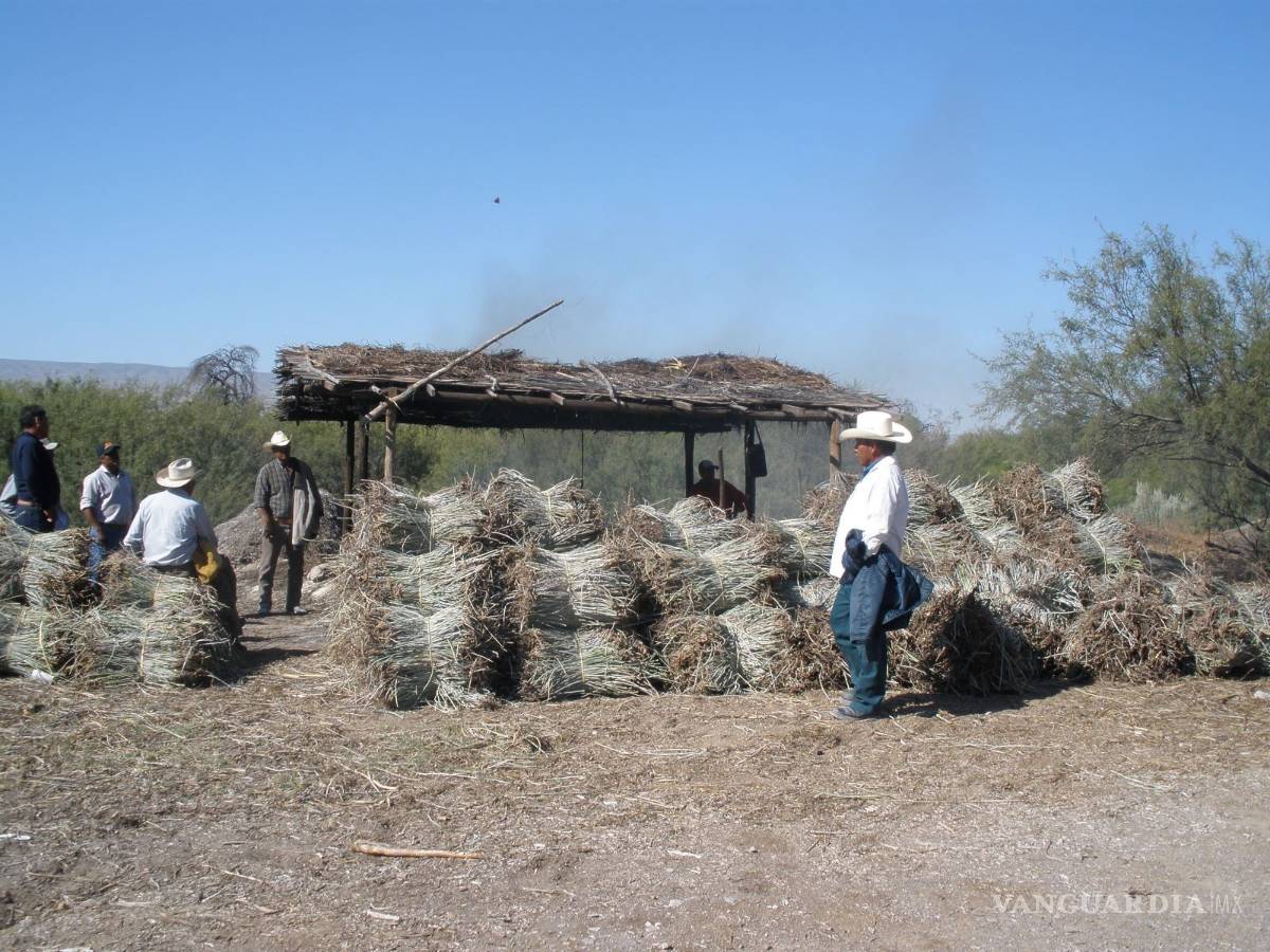 $!Campesinos de Cuatro Ciénegas exigen apoyo a las autoridades
