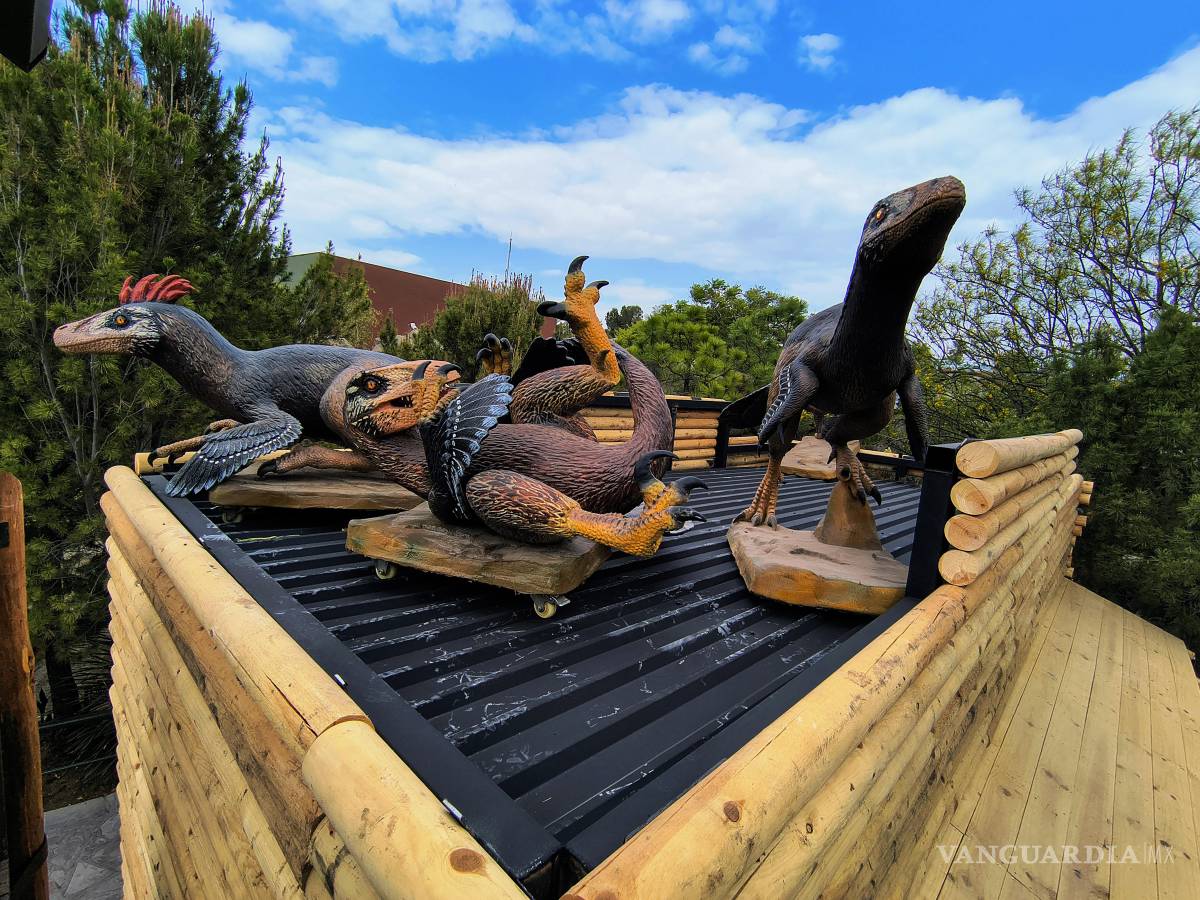 $!Paleo Camp contará con juegos, puentes y actividades educativas para niños de distintas edades.