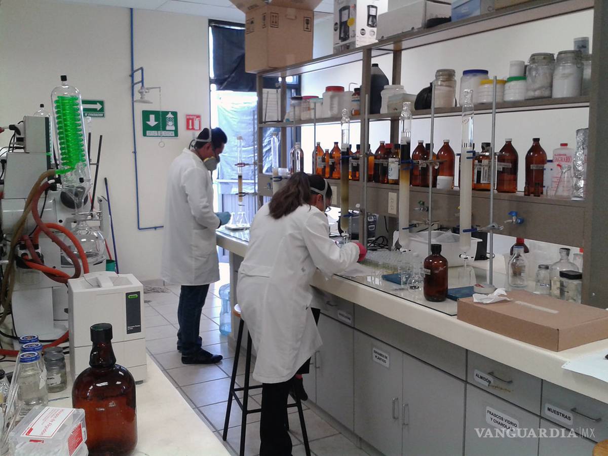 $!Flor de jamaica tiene mayor potencial anti-bacteriano que productos comerciales: Científicos mexicanos