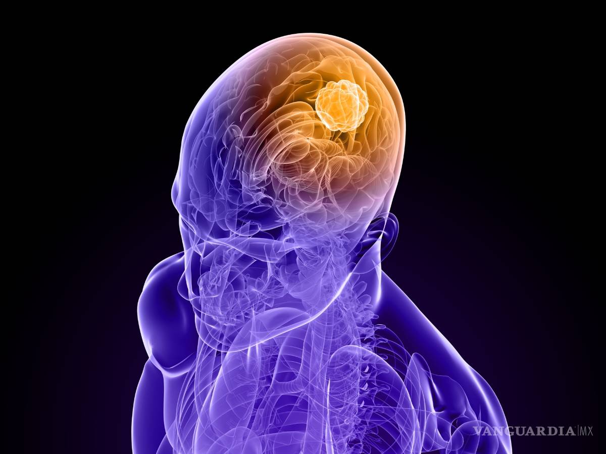 $!Sintetizan en la UNAM molécula altamente efectiva contra cáncer del sistema nervioso
