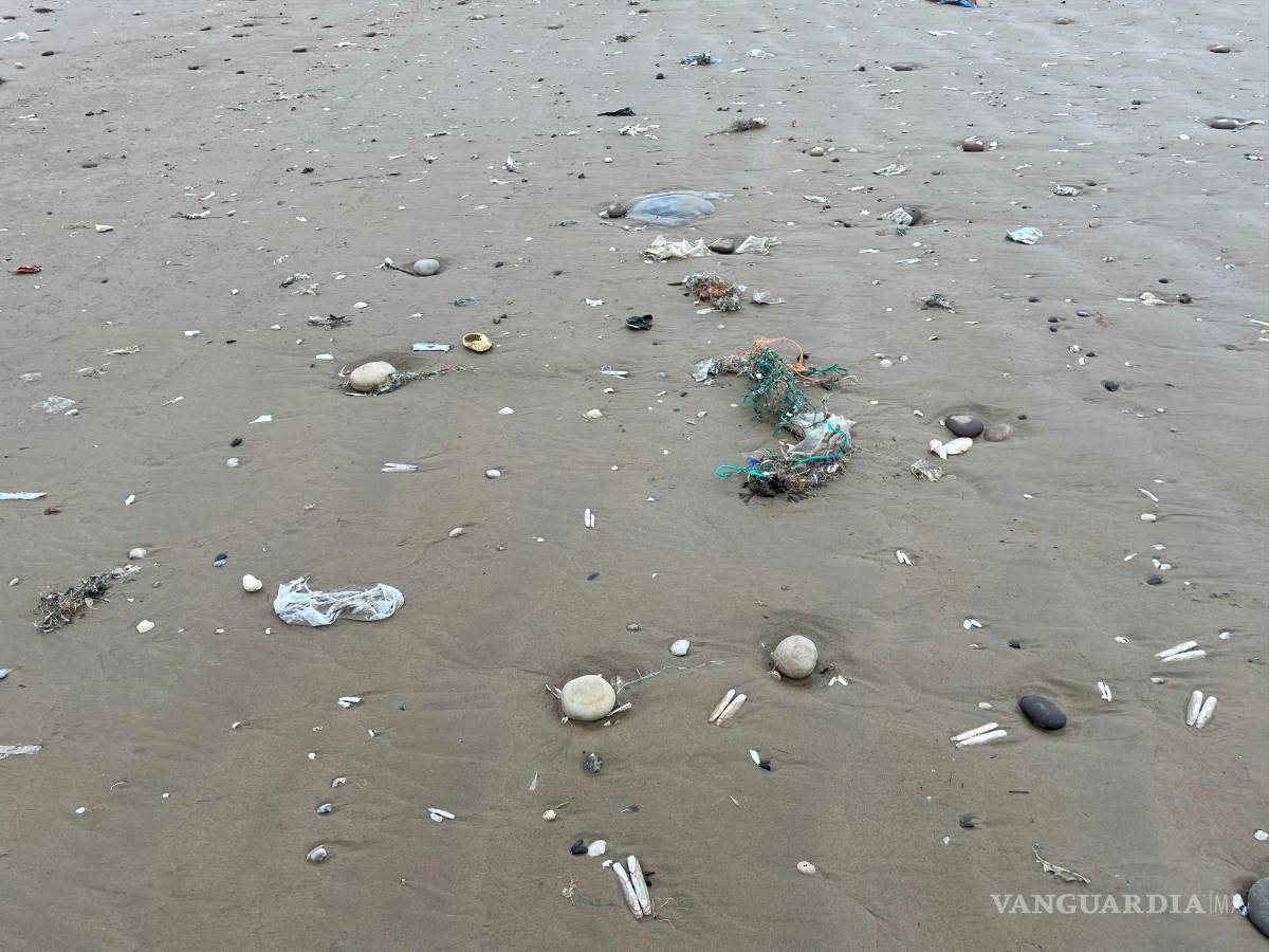 $!¿Estás bebiendo microplásticos con tu té? Estudio revela partículas peligrosas