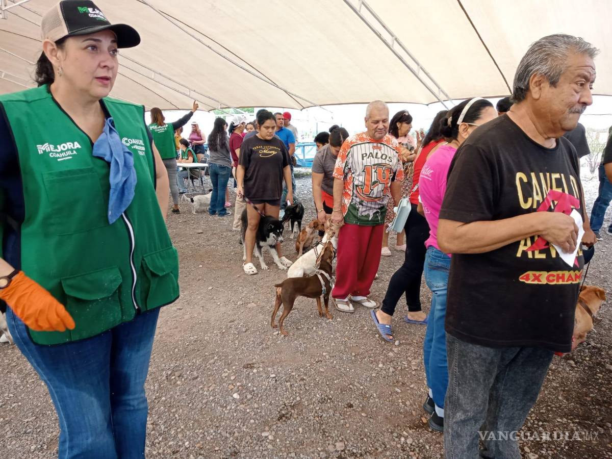 $!Un grupo de 400 animales, entre perros y gatos, son atendidos gratuitamente en la jornada de salud.