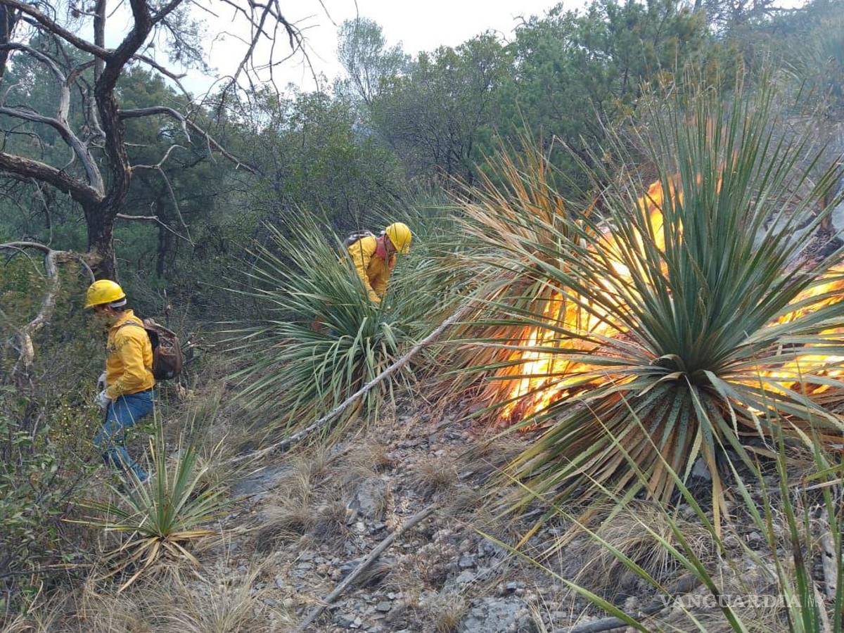 $!Será hasta que finalice el control del incendio que se hará una evaluación precisa de la superficie y vegetación afectadas