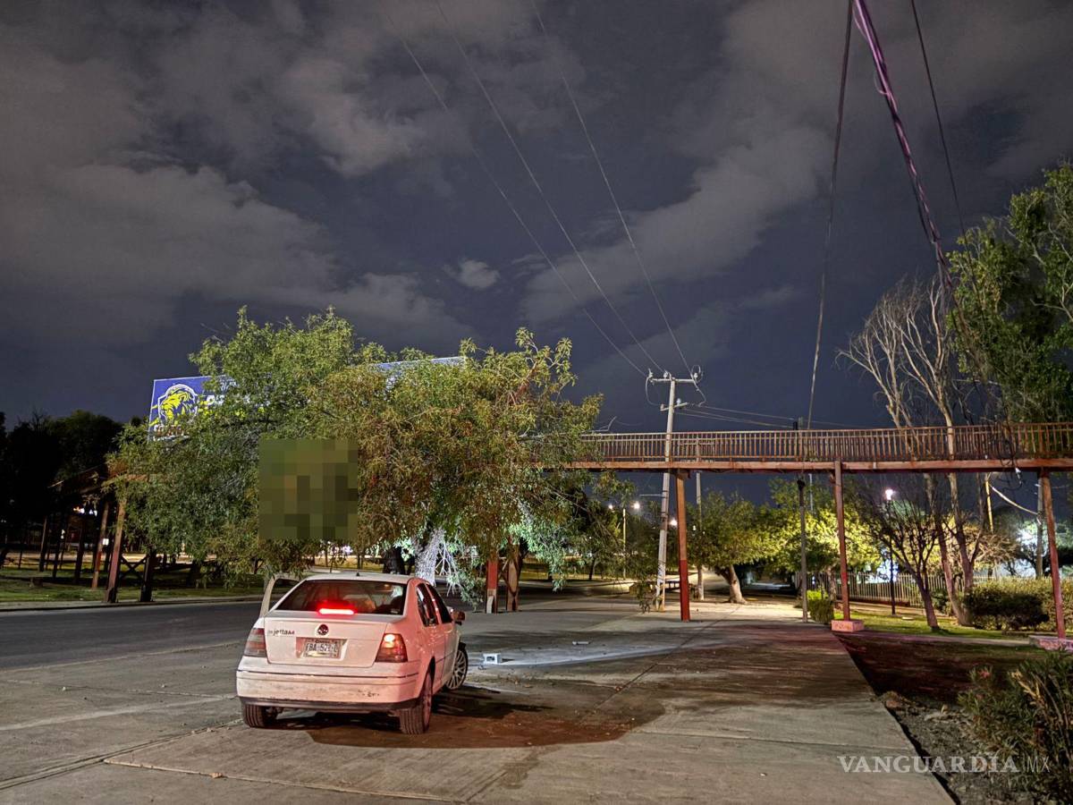 $!El Volkswagen Jetta quedó impactado contra un árbol en el bulevar Paseo de la Reforma.