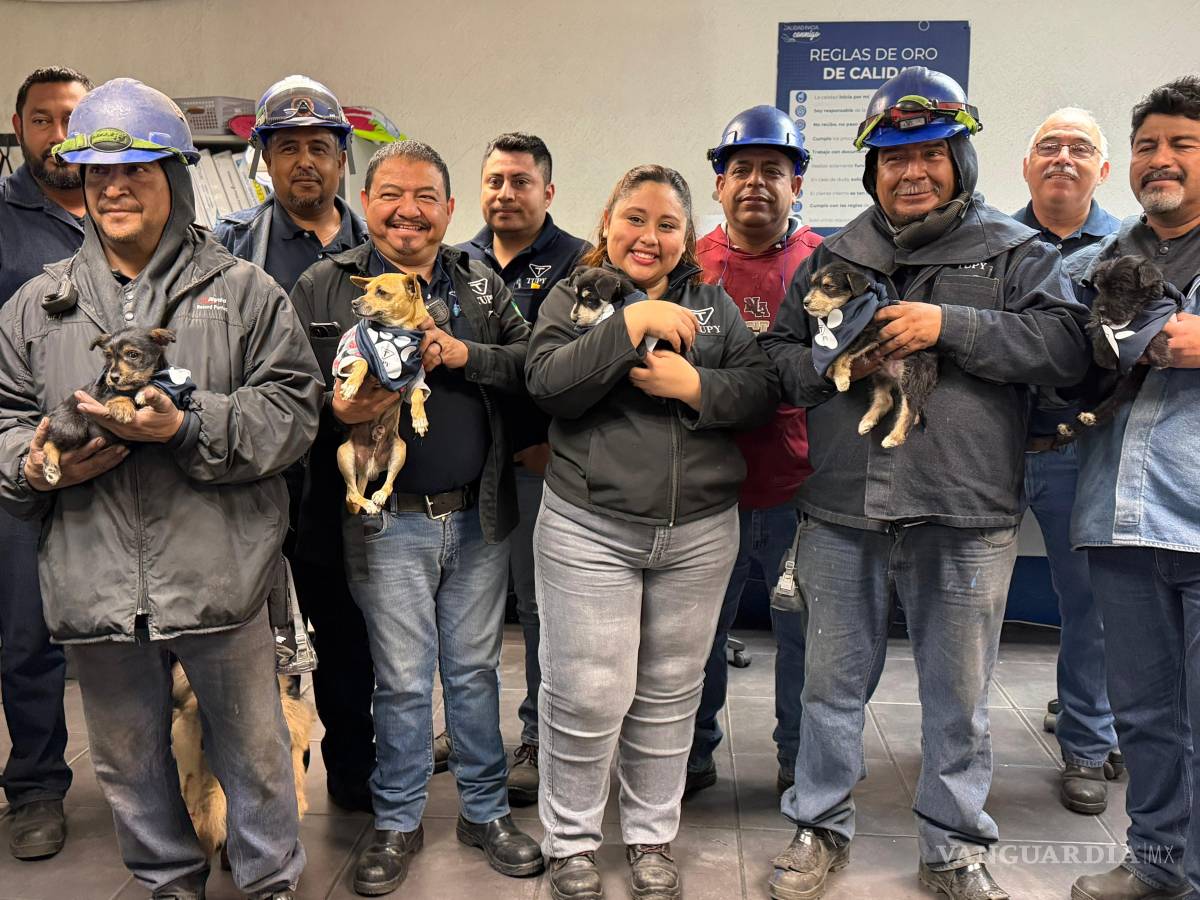 $!Como parte de su compromiso social, Tupy organizó actividades para sensibilizar a su personal sobre la importancia del bienestar animal.