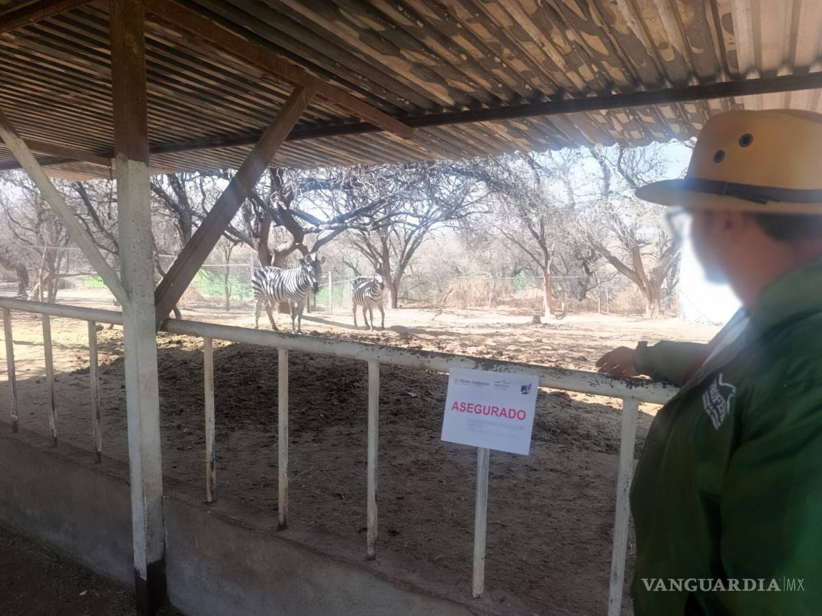 $!Profepa interviene rancho en Aguascalientes y asegura 44 ejemplares de fauna silvestre