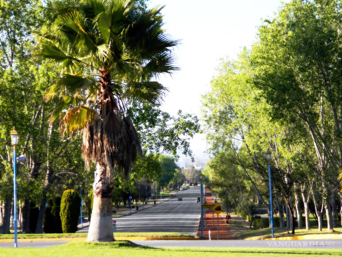 $!San Luis Potosí, la majestuosa puerta al desierto