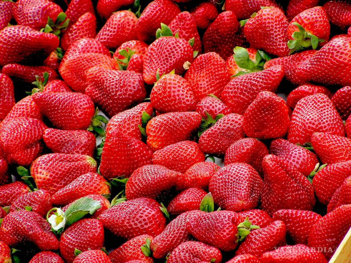 $!Las fresas no solo son bajas en calorías, también están cargadas de vitamina C.