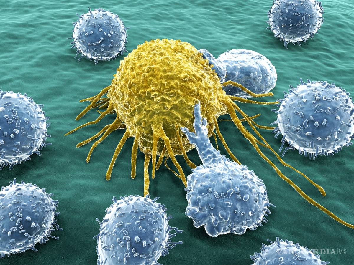 $!Descubierto un nuevo síndrome genético que predispone al cáncer