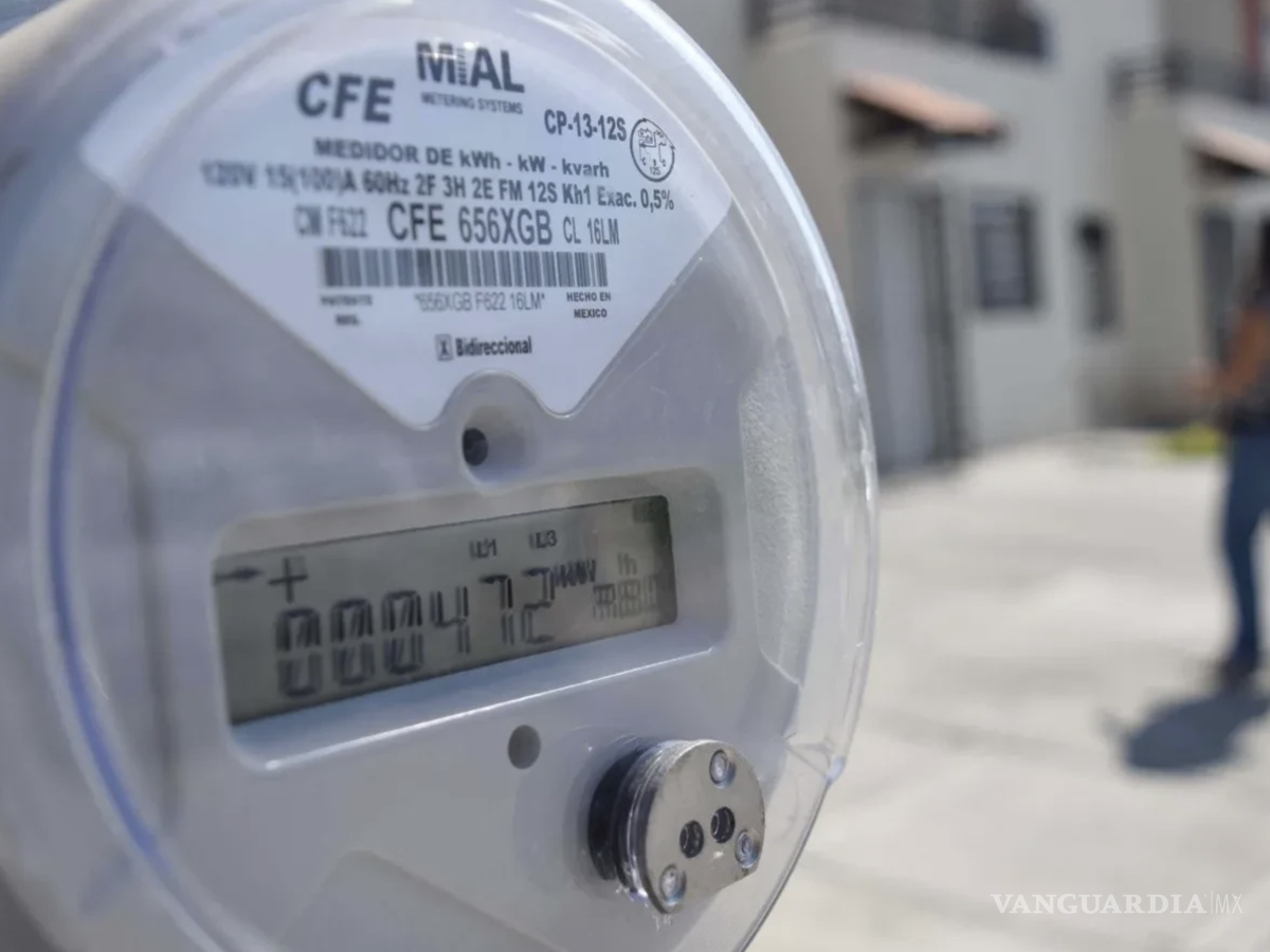 $!En la mayoría de los casos, el reemplazo es gratuito, siempre y cuando se compruebe el robo.